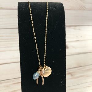 🍎3/$30 Boho necklace wishbone